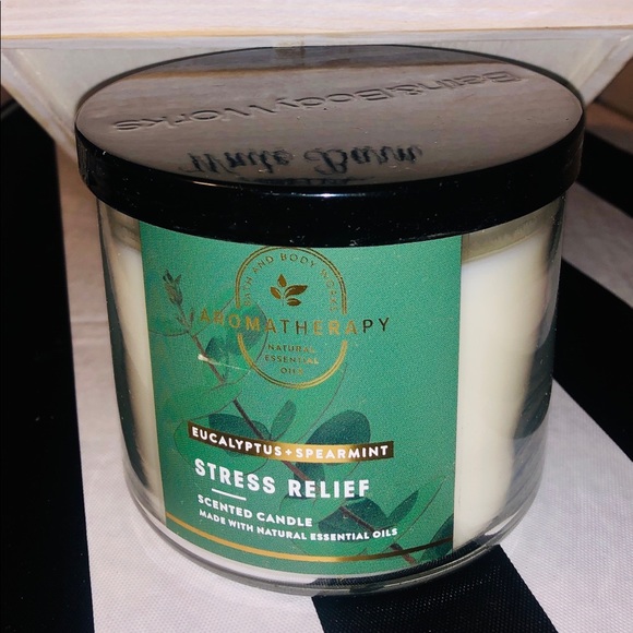 Bath & Body Works | Accents | Bath Body Works Eucalyptus Spearmint 3 ...